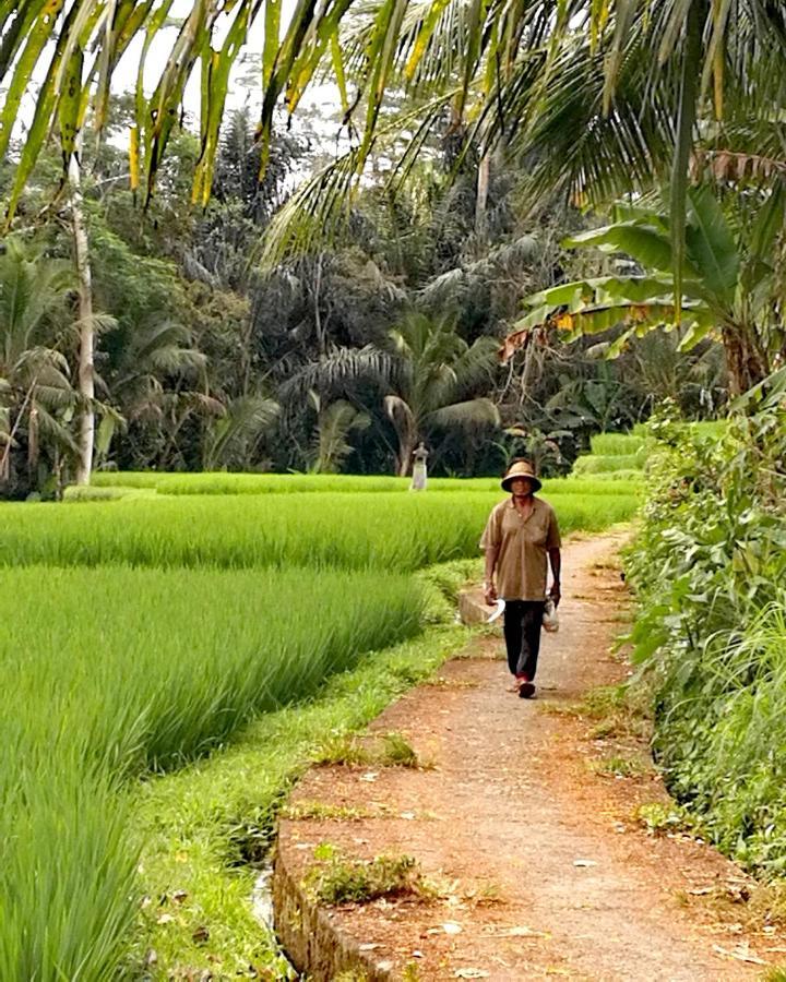 Taman Eden Cottage Ubud Eksteriør billede