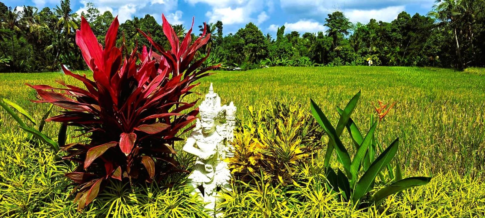 Taman Eden Cottage Ubud Eksteriør billede